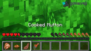 what are useful mods in Minecraft for survival